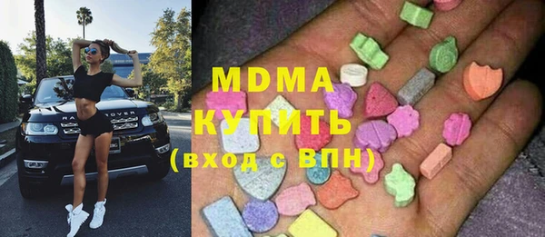 индика Нея
