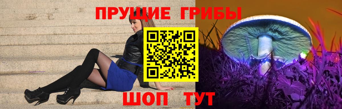 Псилоцибиновые грибы Psilocybine cubensis  Вход с VPN  Усинск 
